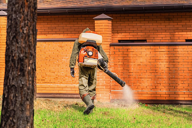 Trusted Bed Bug Control service in Severna Park, MD - Nex Pest Control
